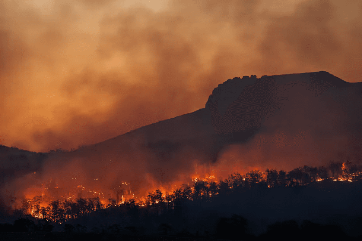 Wildfire burning across a hillside